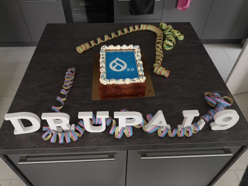 Drupal 9 cake from 1xINTERNET