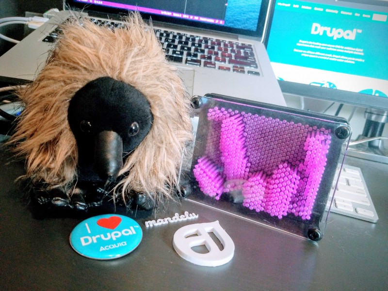 A stuffed echidna with Drupal swag in front of a computer