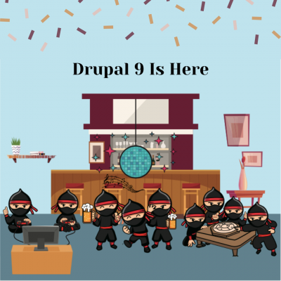 Happy #Drupal developers celebrating the Drupal9 release in Cluj Napoca, Romania.