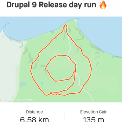 Drupal 9 Release day forest run