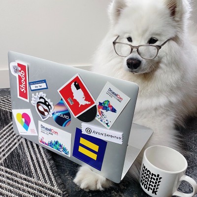 Samoyed wearing glasses looking at a laptop covered in Drupal stickers