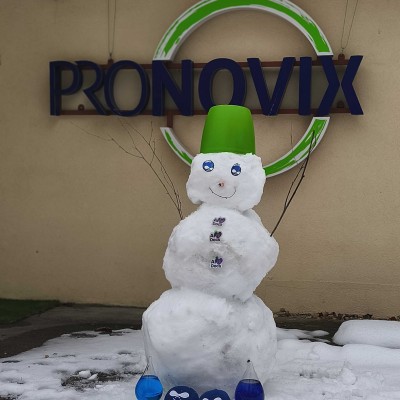 Pronovix Drupal Snowman
