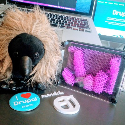 A stuffed echidna with Drupal swag in front of a computer